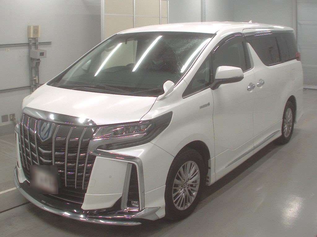 Тойота Alphard 2020 Hercule